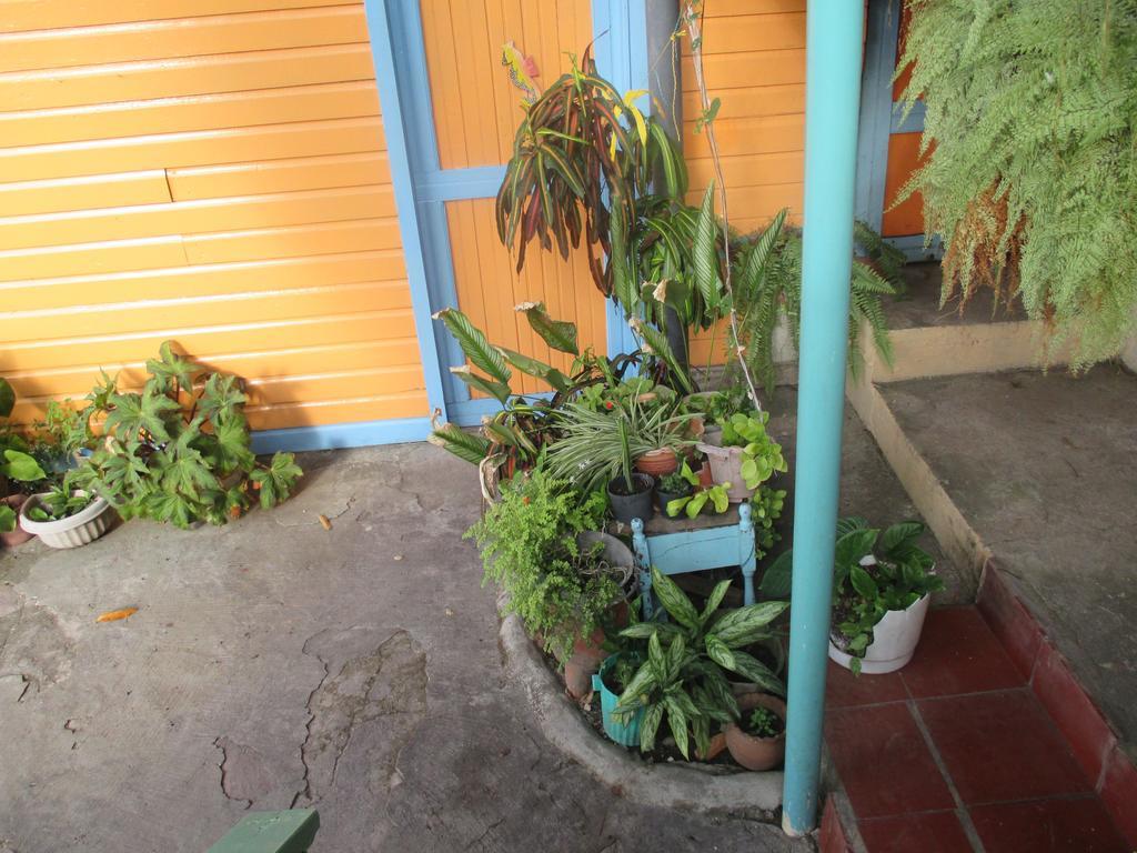 Hotel Flemming Tree Providencia Island Exterior foto