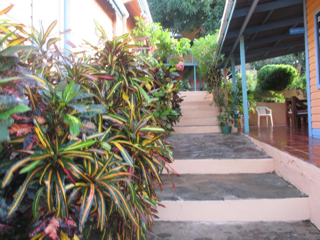 Hotel Flemming Tree Providencia Island Exterior foto