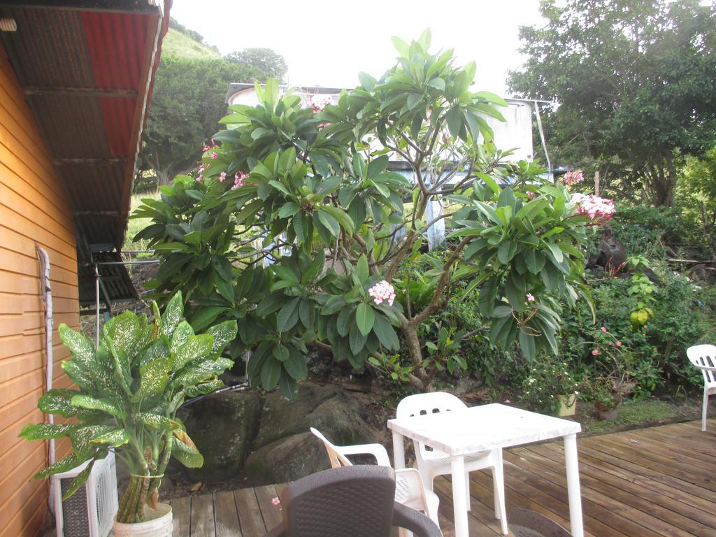 Hotel Flemming Tree Providencia Island Exterior foto