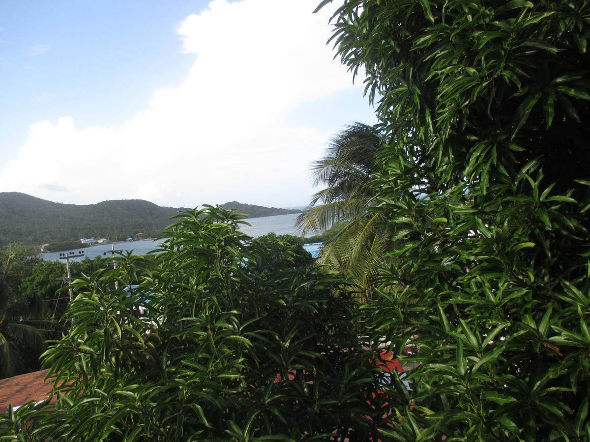 Hotel Flemming Tree Providencia Island Exterior foto